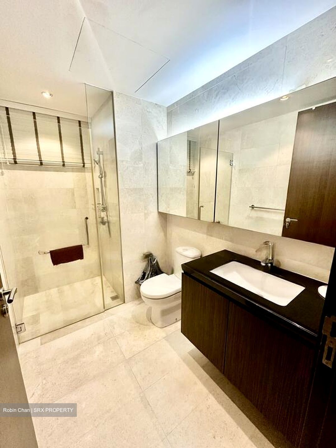 Three Balmoral (D10), Apartment #624962641